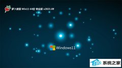 ܲ԰Windows11 װ64λ 2021.08