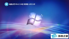 电脑公司Windows11 青春纯净版64位 2021.08